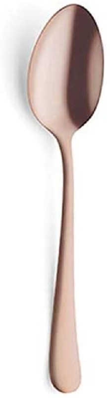 Amefa Austin Copper Koffielepel