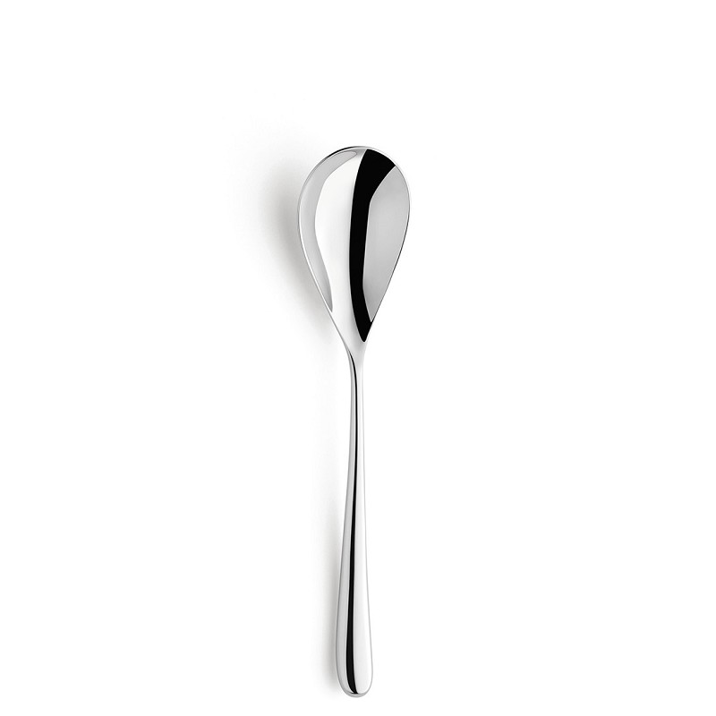 Amefa Newton Mirror Tafellepel