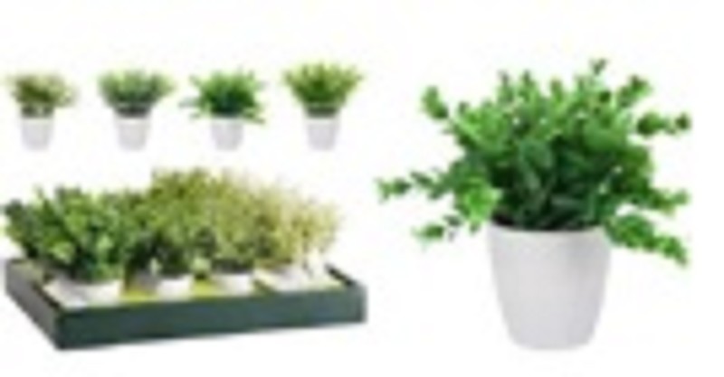 Plant Kunststof 16cm In Ronde Witte Pot